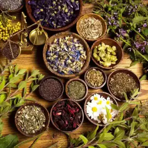 naturopathic doctor in burlington cropped